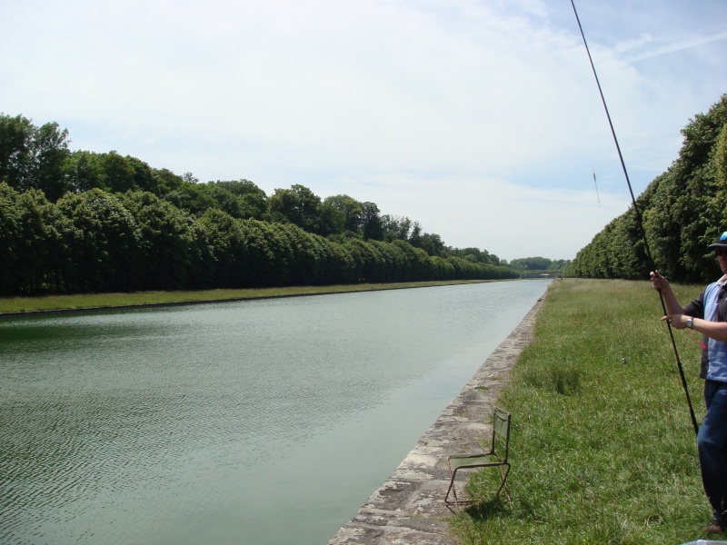 grand canal d alsace peche