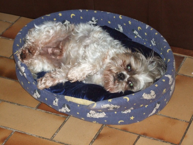 2009_230.jpg