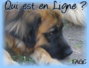 Qui est en ligne ?