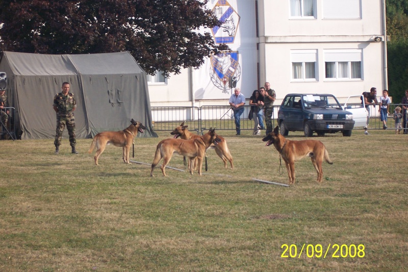 100_3510.jpg
