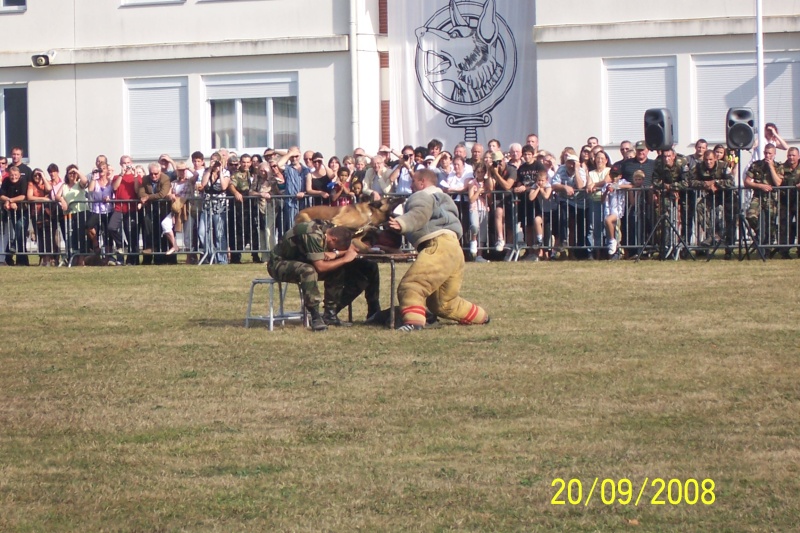 100_3513.jpg