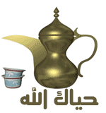 مشارك جديد مشارك جديد