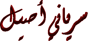 المتواجدون الآن ؟