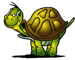 tortue16.gif