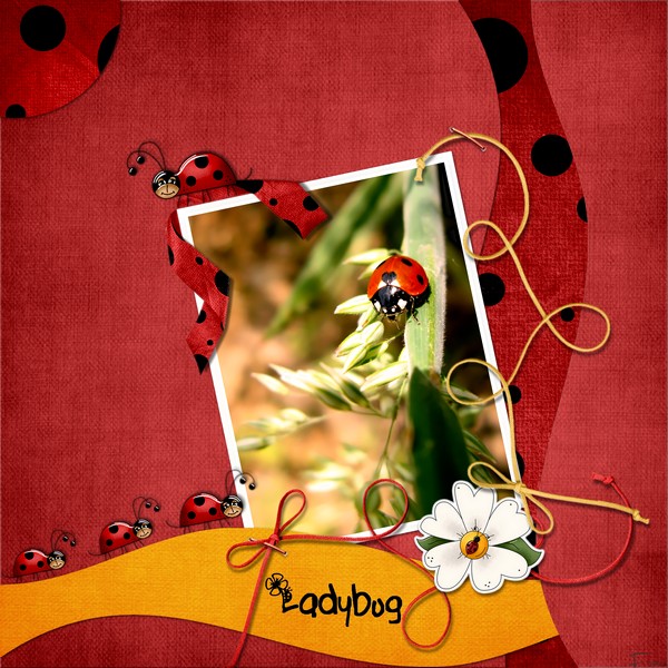 ladybu10.jpg