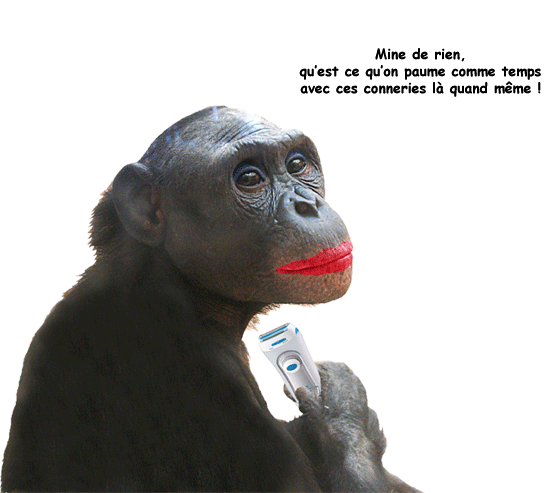 bonobo10.gif